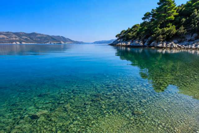 pine-reflected-bay