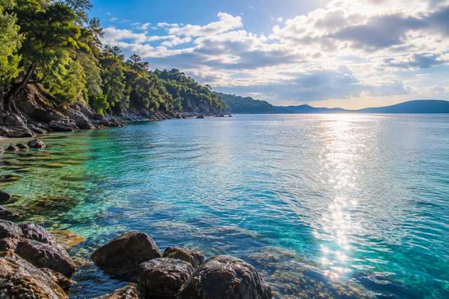 sunlit-forest-bay
